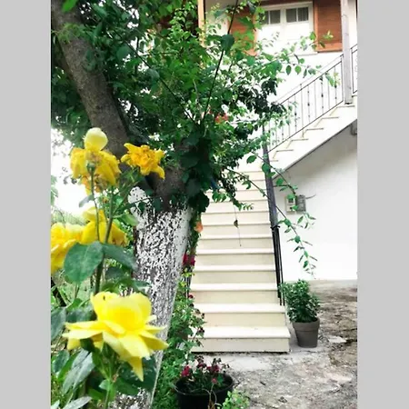 Aggeliki's House *